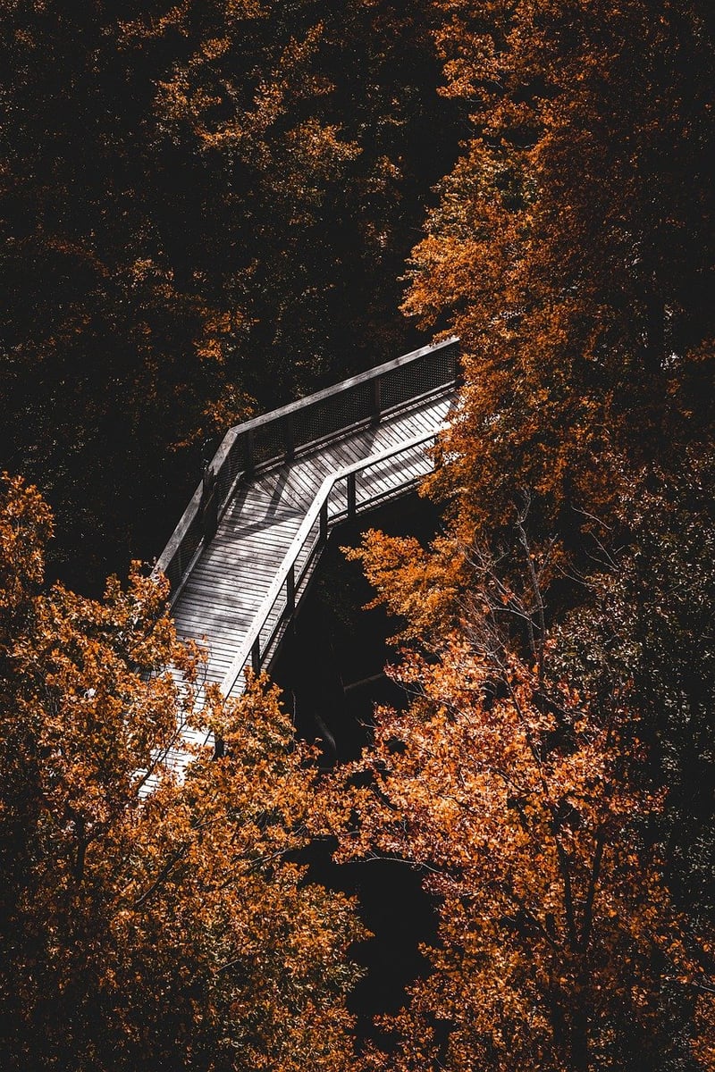 Nature Mindfulness
