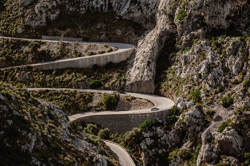 Road in nature